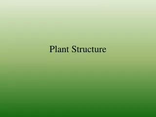 plant structure