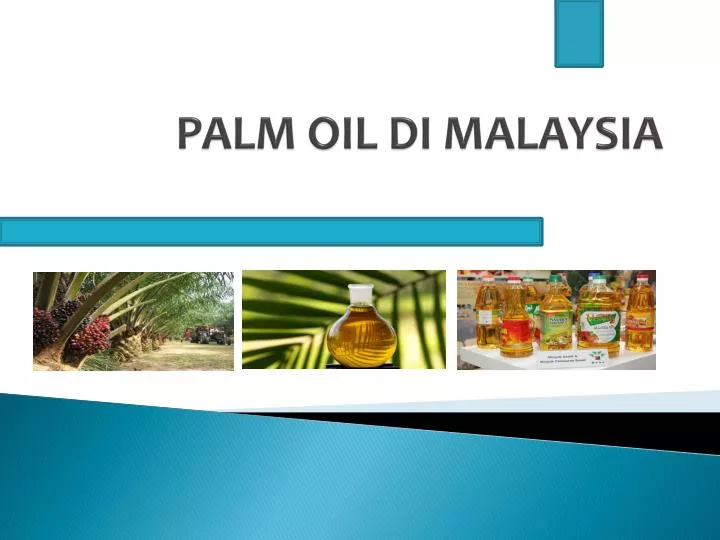 palm oil di malaysia