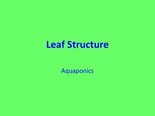 Leaf Structure