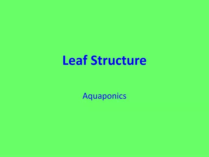 leaf structure