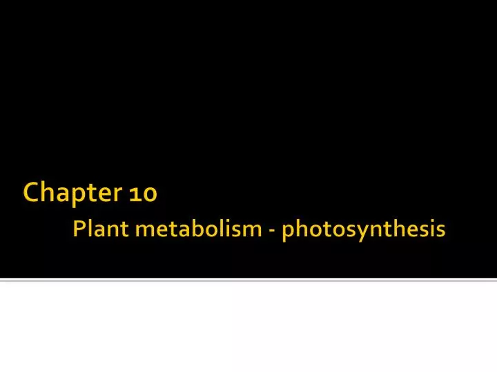 chapter 10 plant metabolism photosynthesis