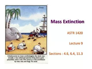 Mass Extinction