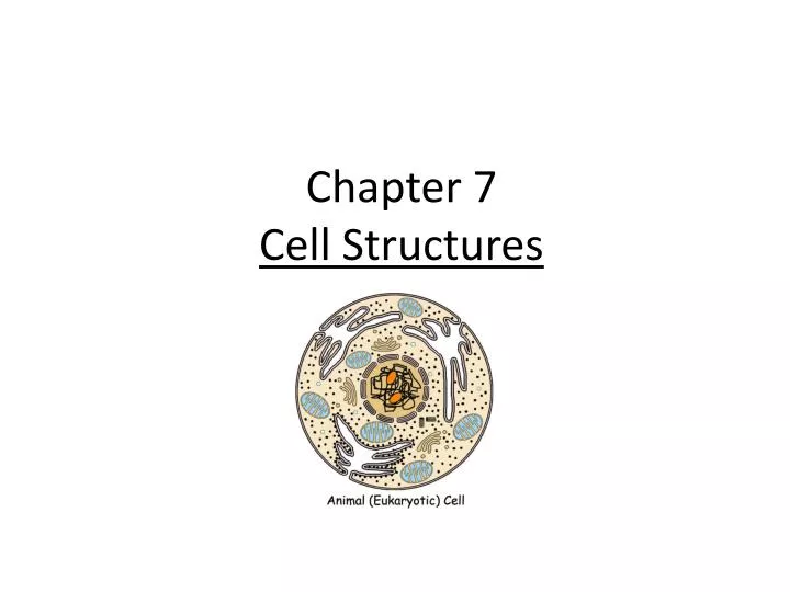 chapter 7 cell structures