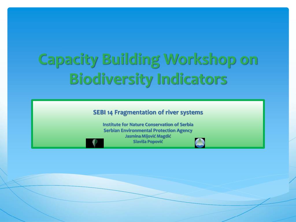 PPT - Capacity Building Workshop on Biodiversity Indicators PowerPoint ...
