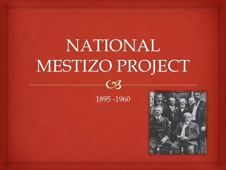 national mestizo project