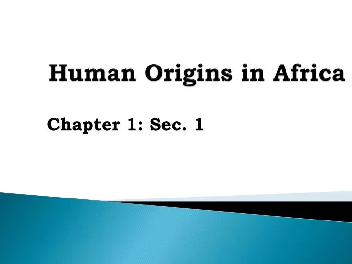 human origins in africa