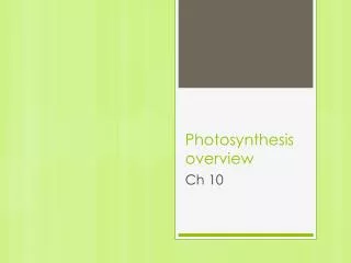 Photosynthesis overview