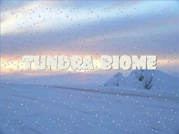 tundra biome