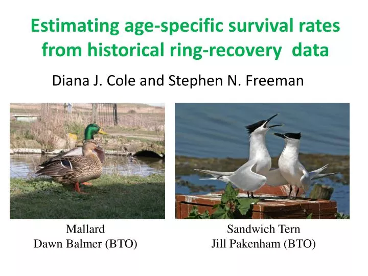 estimating age specific survival rates from historical ring recovery data