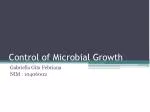 Control of Microbial Growth - slide 1