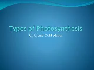 Types of Photosynthesis