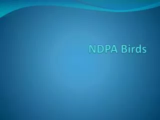 NDPA Birds