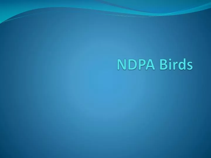 ndpa birds