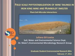 Field scale phytostabilization of mine tailings in iron king mine and Humboldt smelter