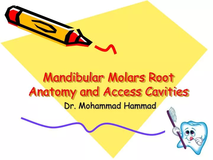 mandibular molars root anatomy and access cavities