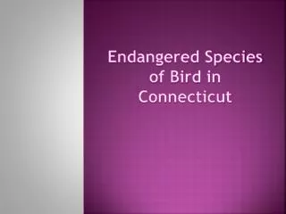 Endangered Species of Bird in Connecticut