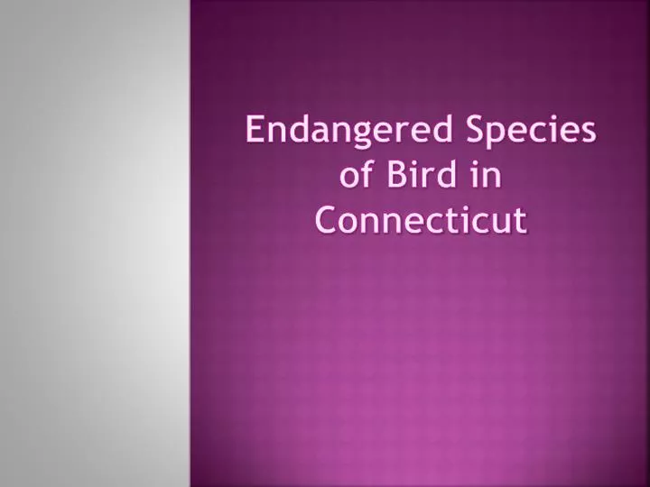 endangered species of bird in connecticut