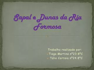sapal e dunas da ria formosa