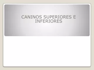 caninos superiores e inferiores