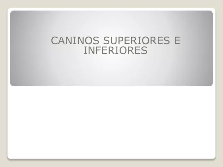 caninos superiores e inferiores