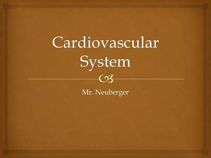 cardiovascular system