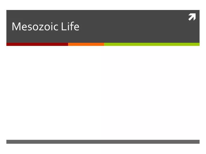 mesozoic life