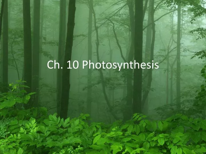 ch 10 photosynthesis