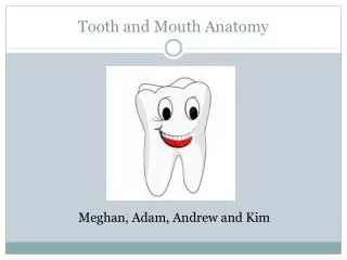 Tooth and Mouth Anatomy