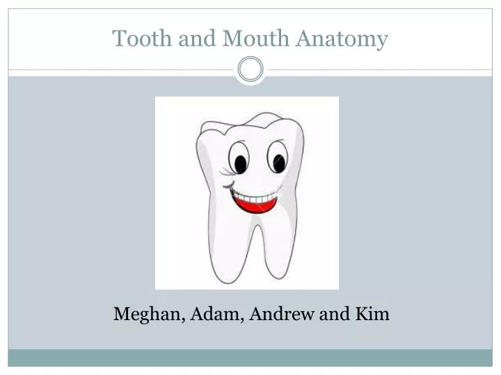 tooth and mouth anatomy