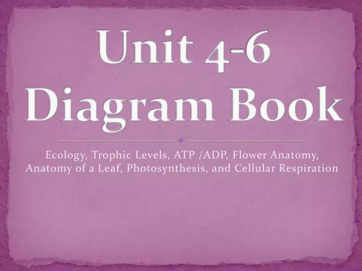 unit 4 6 diagram book