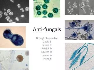 Anti- fungals