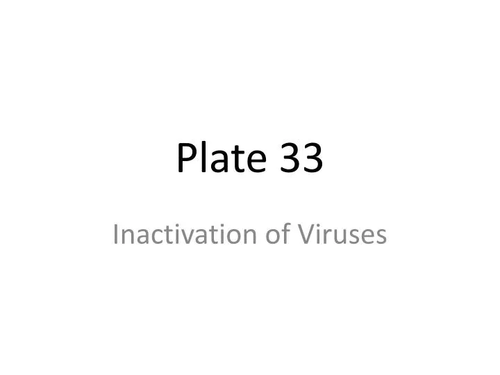 plate 33