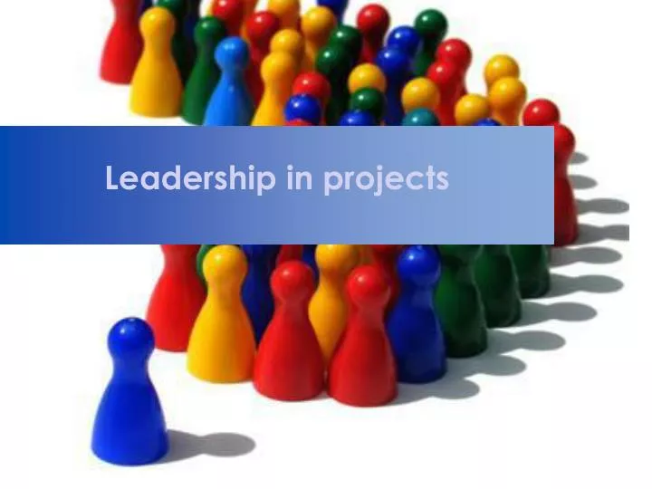 leadership in projects