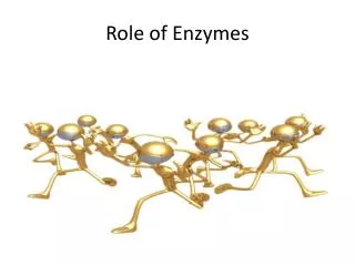 role of enzymes