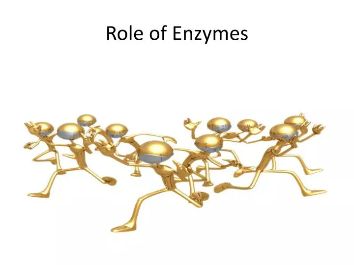 role of enzymes