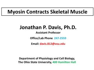 Myosin Contracts Skeletal Muscle