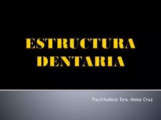 estructura dentaria