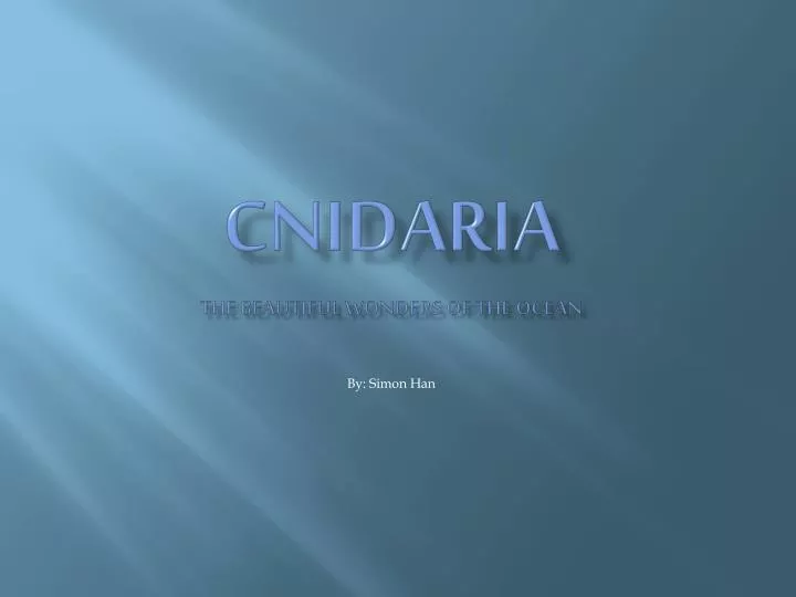 cnidaria the beautiful wonders of the ocean