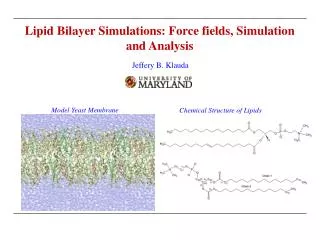 Lipid Bilayer Simulations: Force fields, Simulation and Analysis