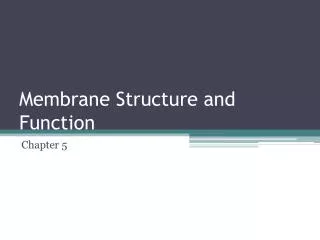 Membrane Structure and Function