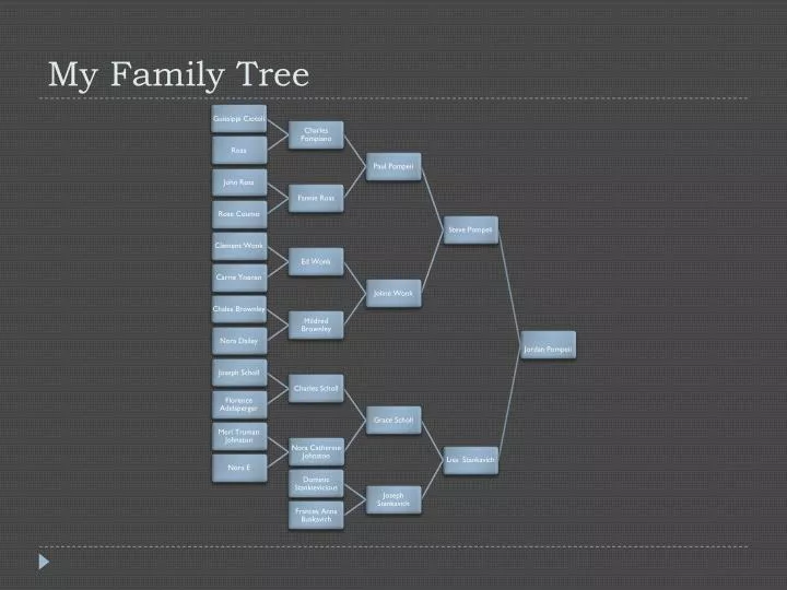 my family tree