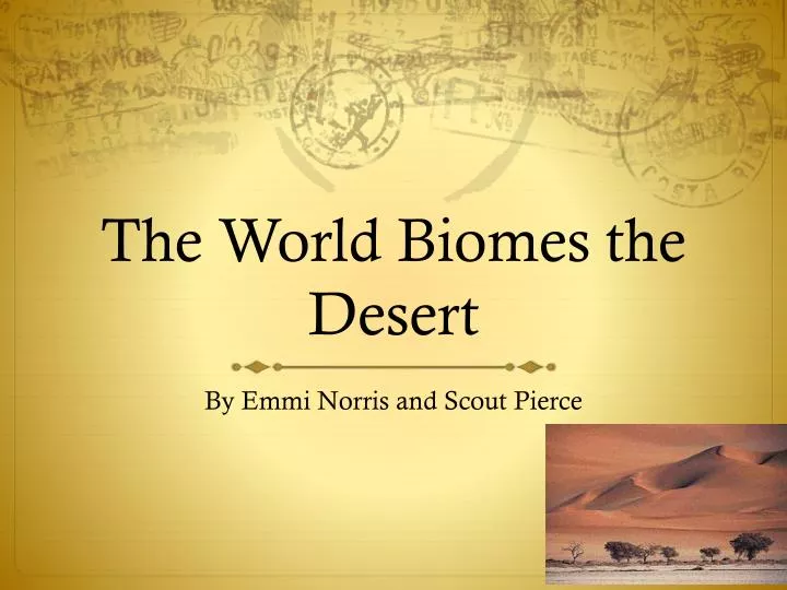 the world b iomes the desert