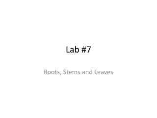 Lab #7