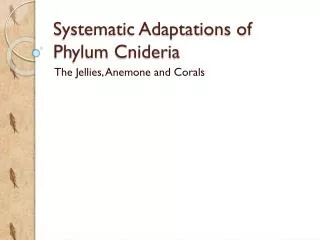 Systematic Adaptations of Phylum Cnideria