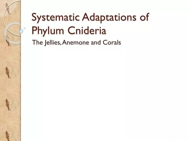 systematic adaptations of phylum cnideria