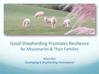 Good Shepherding Promotes Resilience for Missionaries &amp; Their Families