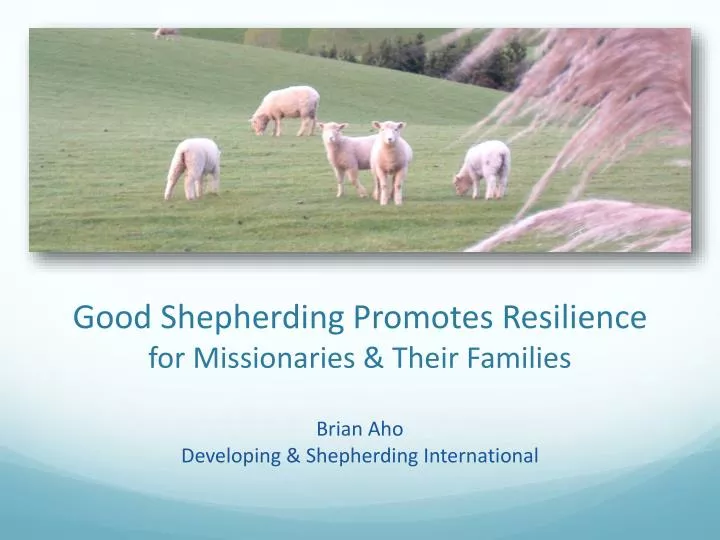 good shepherding promotes resilience for missionaries their families