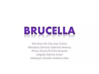 brucella