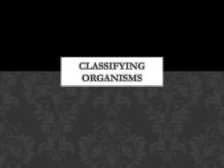 Classifying Organisms