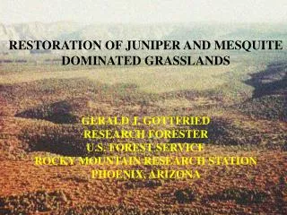 RESTORATION OF JUNIPER AND MESQUITE DOMINATED GRASSLANDS GERALD J. GOTTFRIED RESEARCH FORESTER